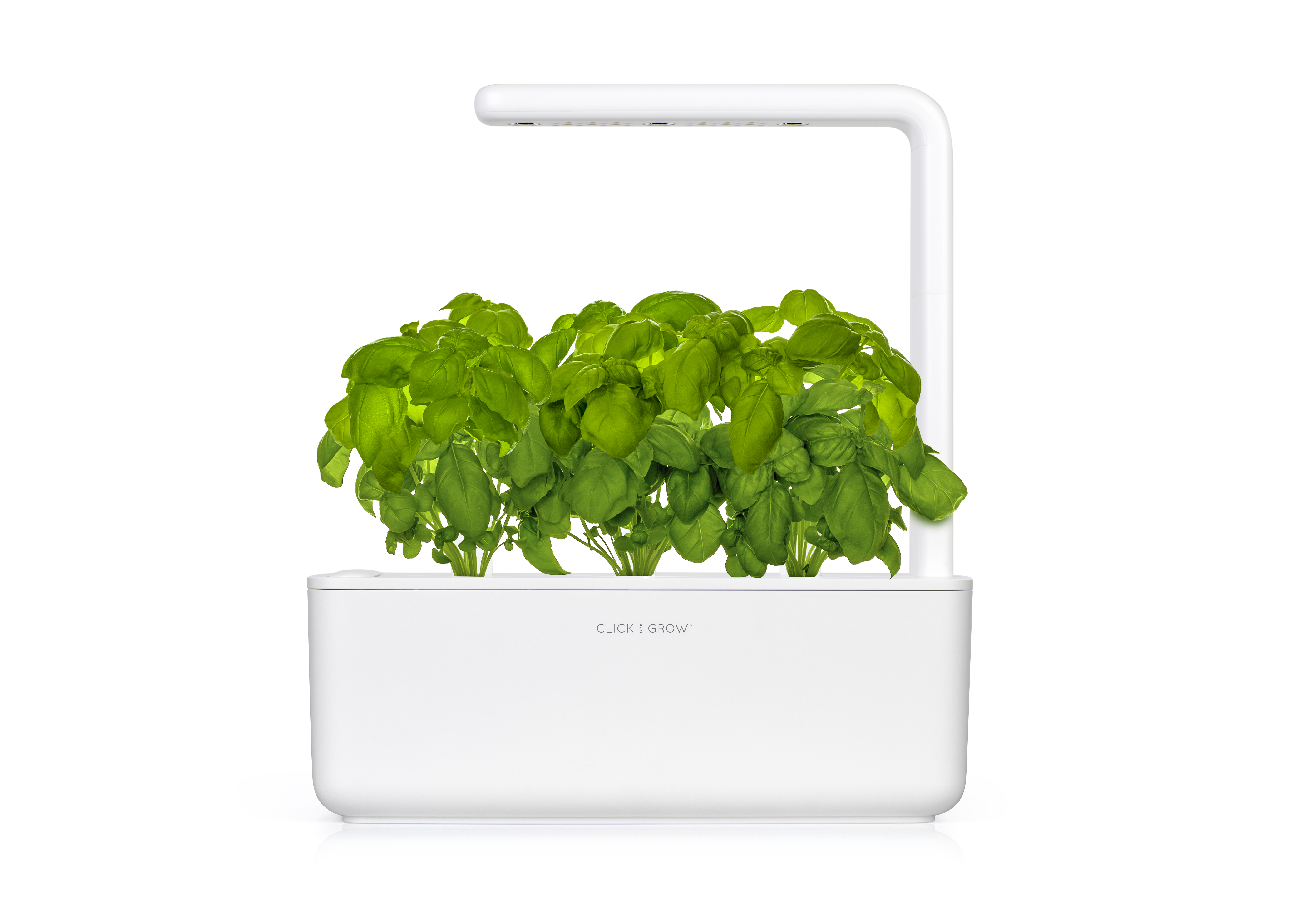 Click & Grow 智能花园