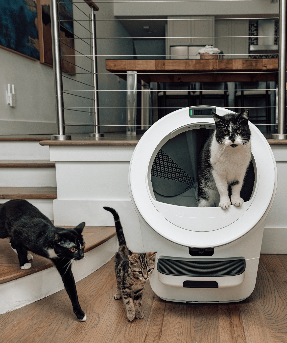 Litter-Robot 5 Pro